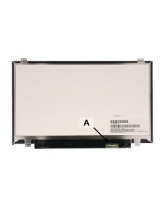 Lenovo LCD-Ersatzbildschirm 14,0 WQHD IPS 2560x1440 matt