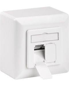 CAT 6 universal Wandplatte inkl. Wandeinbaurahmen weiß